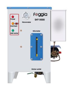 Steam Generator Foggia FESB3000